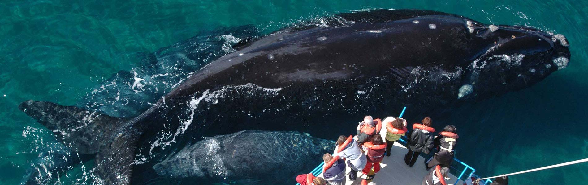 Puertomadryn1900x600