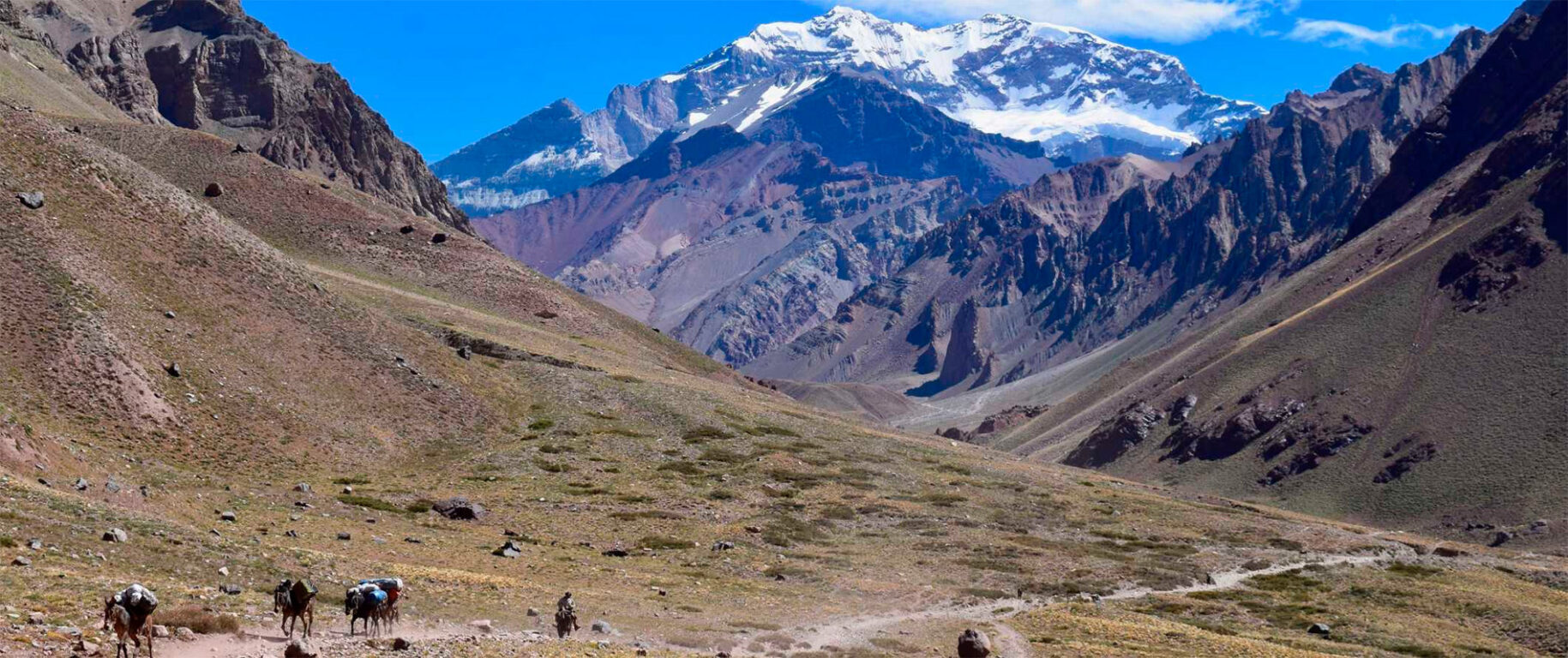 Mendoza1