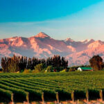 Mendoza