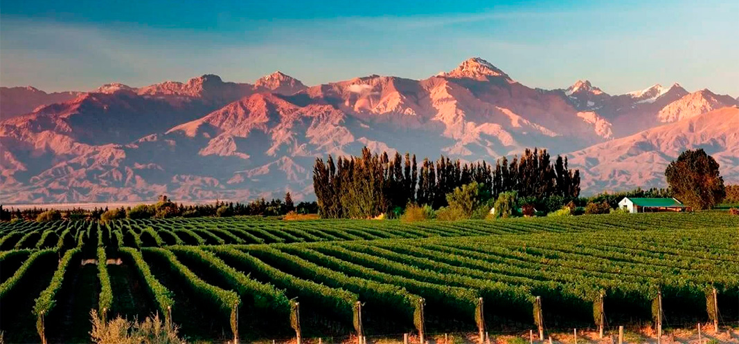 Mendoza01