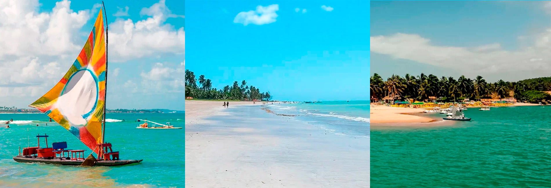 Porto galinhas maragogi maceio