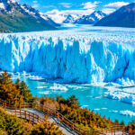 El calafate1